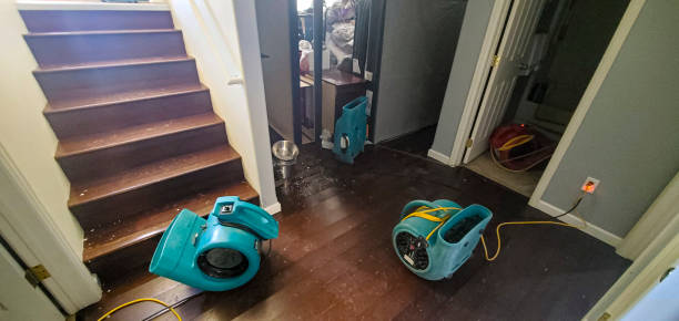 Best 24/7 water damage repair  in Hampden Sydney, VA