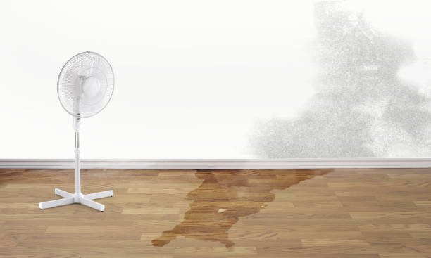 Best 24-hour water damage restoration  in Hampden Sydney, VA