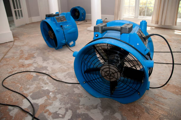 Best Basement water damage restoration  in Hampden Sydney, VA