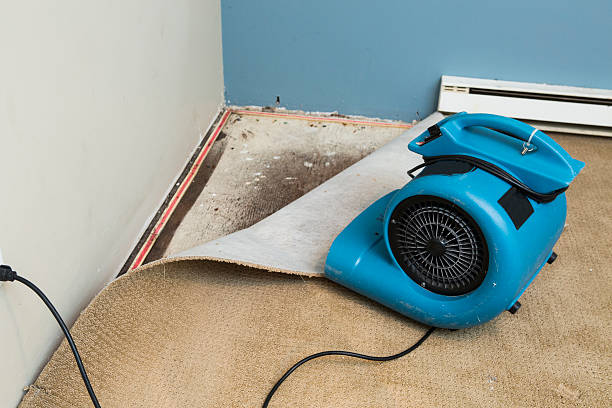Best 24/7 water damage repair  in Hampden Sydney, VA
